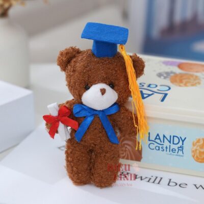 Gấu lông tốt nghiệp màu nâu mũ xanh