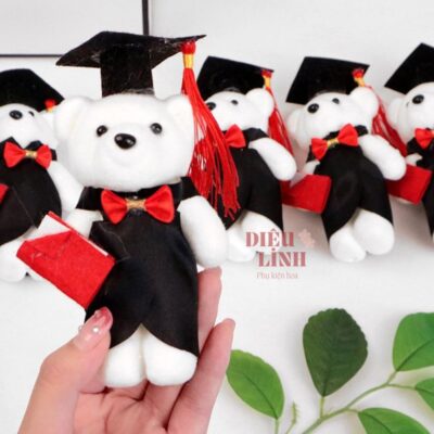 Gấu xốp nam tốt nghiệp