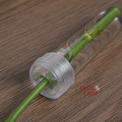 Ống giữ nước chuyên dụng cho hoa tươi lâu bịch 20c