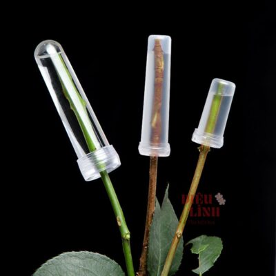 Ống nhựa giữ nước chuyên dụng cho hoa tươi lâu
